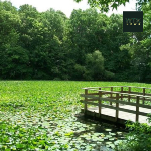 High Rock Park is one of the Greenbelt's most scenic spots, known for its quiet beauty, wildlife and serene ponds