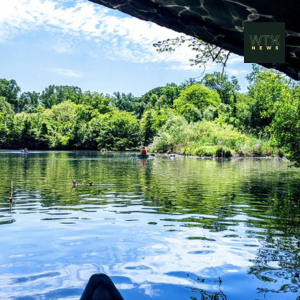 The Bronx River is a spot of natural beauty in a busy city 