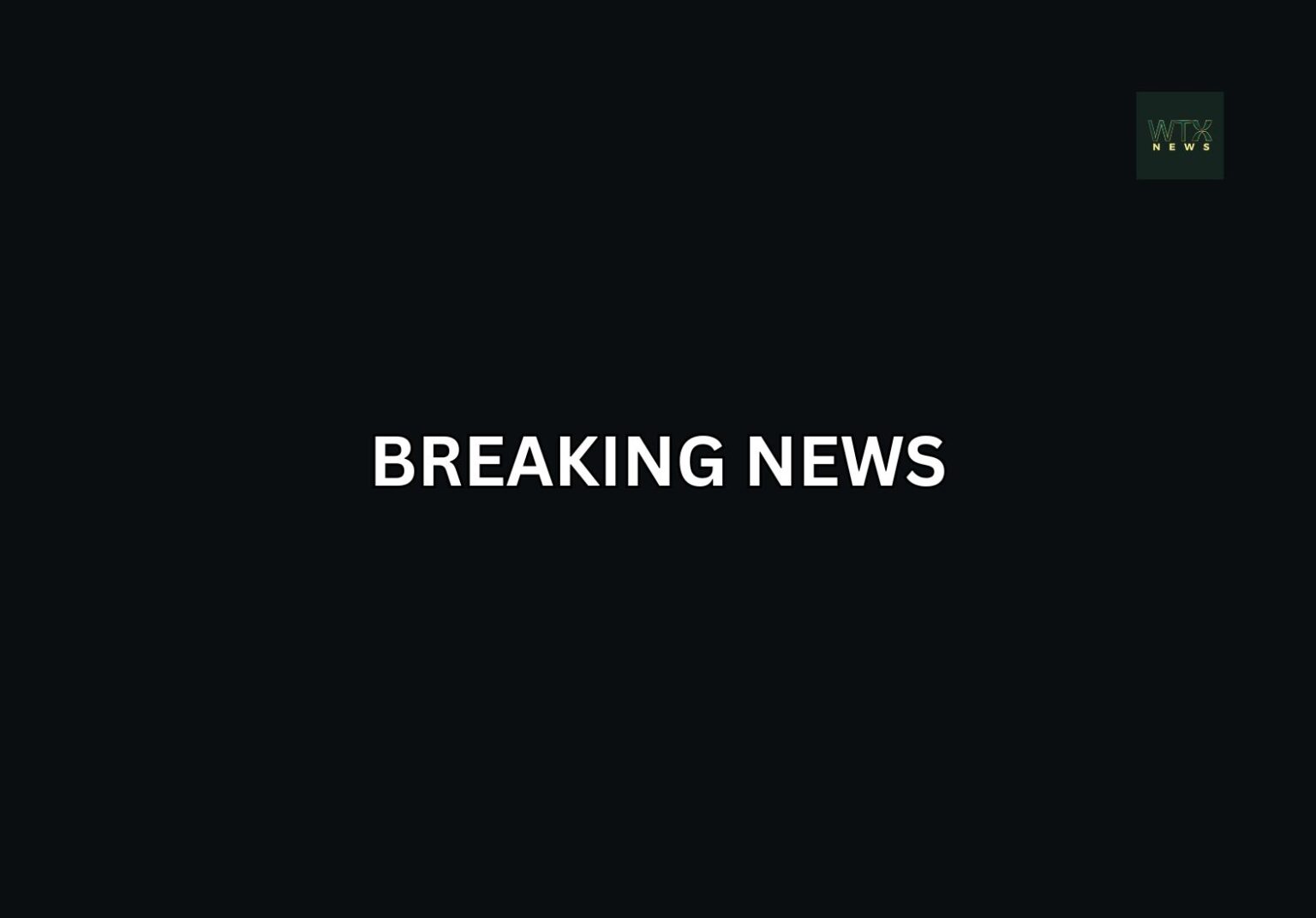 Car ploughs into German crowd in yet another attack 