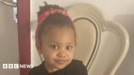 Girl, 4, who died in suspected arson named