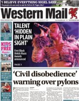 Civil disobedience warning over pylons
