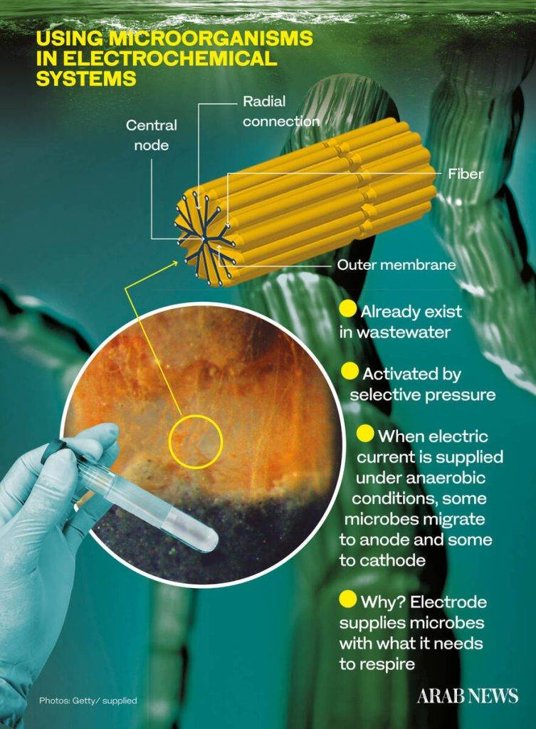 How experts in Saudi Arabia are harnessing the power of microbes to treat wastewater