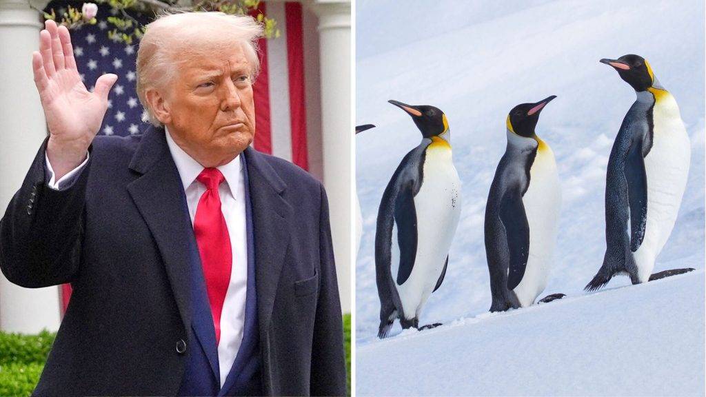 Trump economic adviser explains why US put tariffs on islands inhabited by penguins