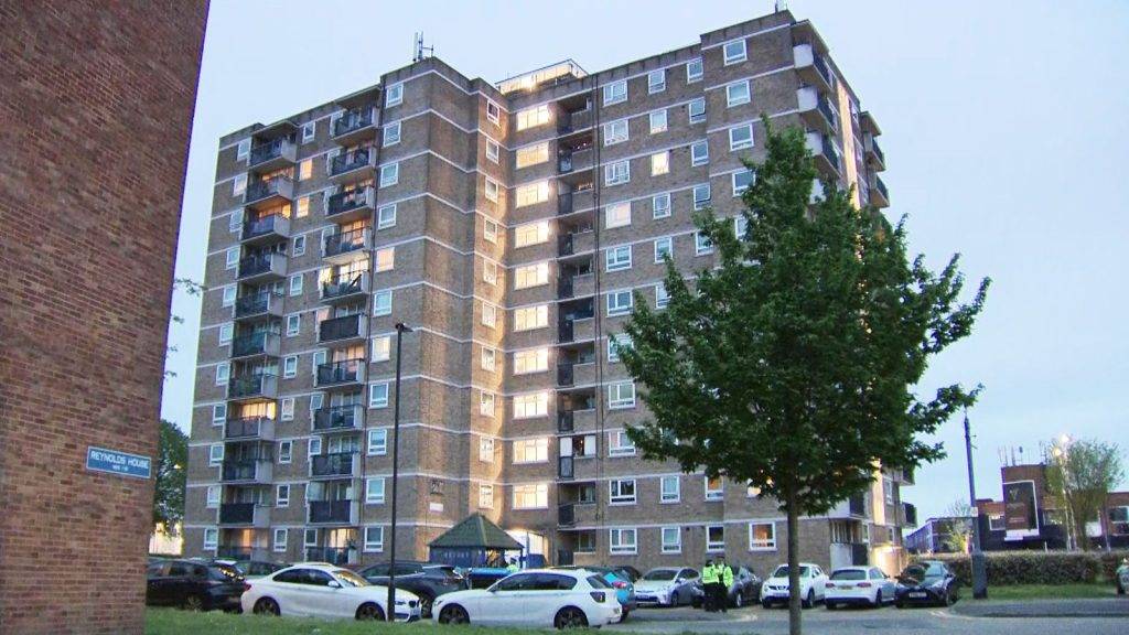 Woman stabbed to death in Enfield north London UK News
