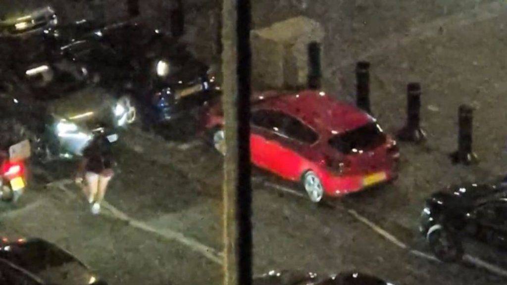 Police appeal to find dancing woman who was carried on car bonnet for 30 yards in Wembley hit-and-run crash Police appeal to find dancing woman who was carried on car bonnet for 30 yards in Wembley hit-and-run crash