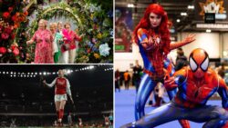 Events This Week: Chelsea Flower Show, Arsenal WFC Emirates Watchalong, Comic Con | Week 21