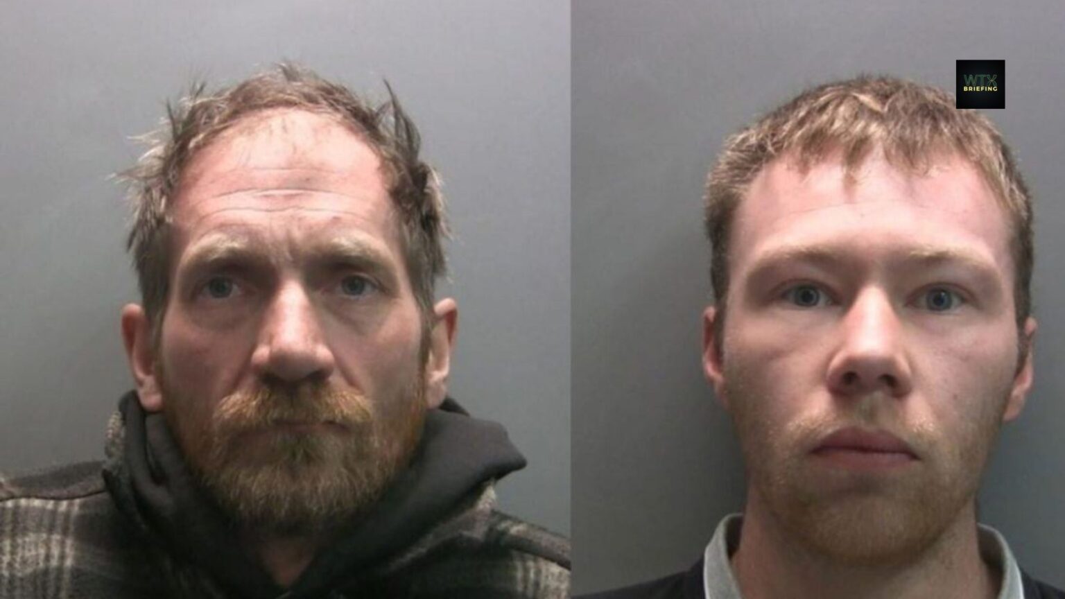 ‘Mindless destruction’ – Pair guilty of felling world-famous Sycamore Gap tree