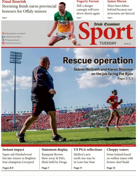 Rescue operation: Seanie McGrath and Kieran Shannon on the job facing Pat Ryan