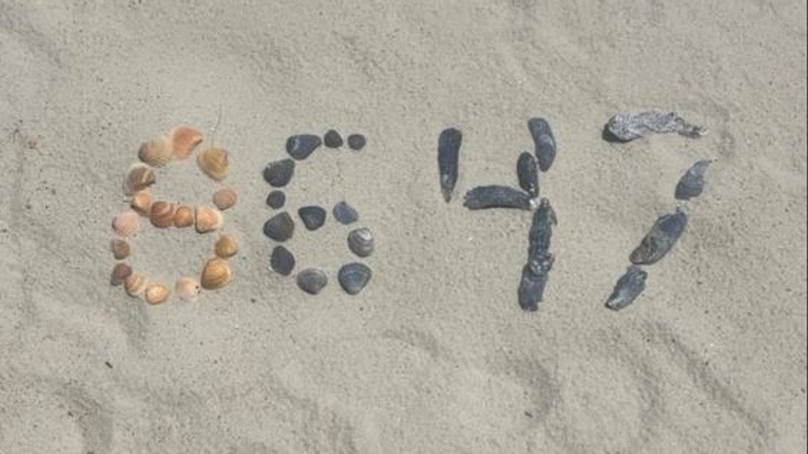 skynews james comey s seashells 6919021