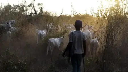 Gunmen kill at least 100 in Benue state
