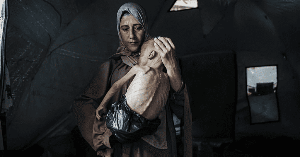 Amid Gaza’s man-made famine, Palestinians fight to survive