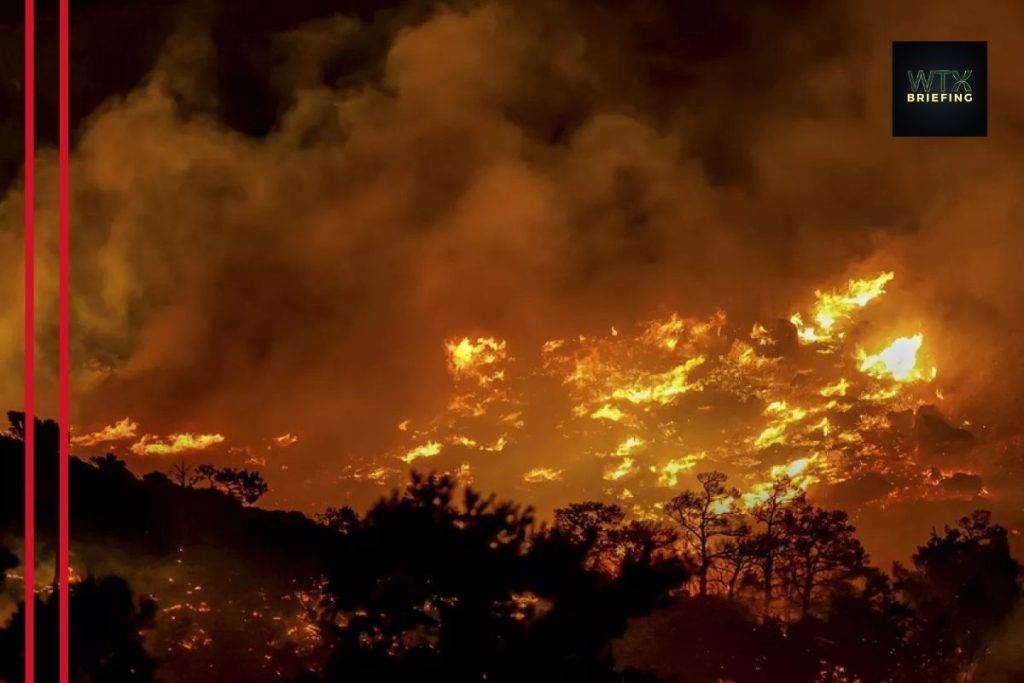 Wildfire near Ierapetra forces evacuation of hotels and homes on Crete