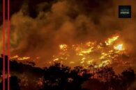 Wildfire near Ierapetra forces evacuation of hotels and homes on Crete