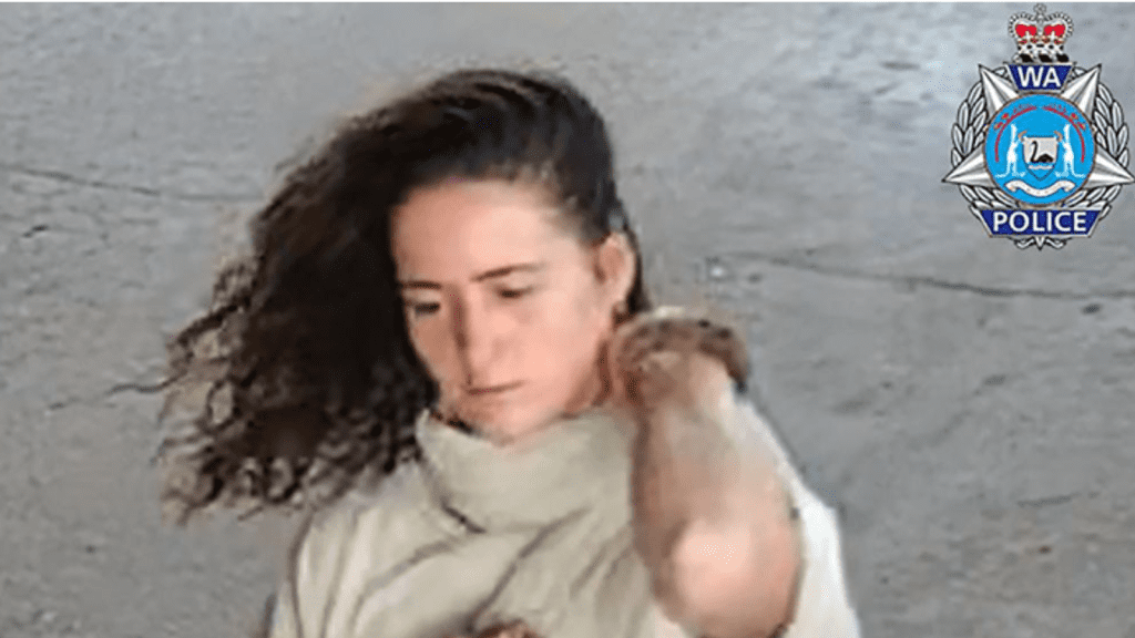 Fears for backpacker missing in outback as aircraft joins search