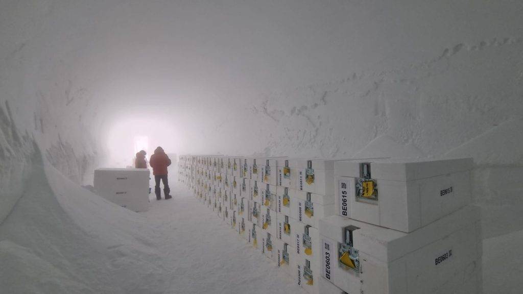 Antarctica’s oldest ice arrives in UK for analysis on climate shifts