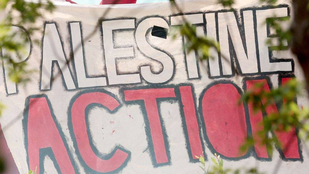 Palestine Action’s bid for judicial review granted after MPs banned group