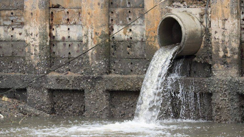 Why aquatic life is facing a double whammy as sewage overflows spill into rivers amid heavy rain