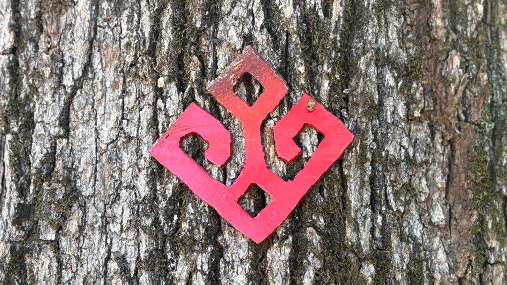 Inside the whites-only settlement in Arkansas: The group building a ‘Fortress for the White Race’