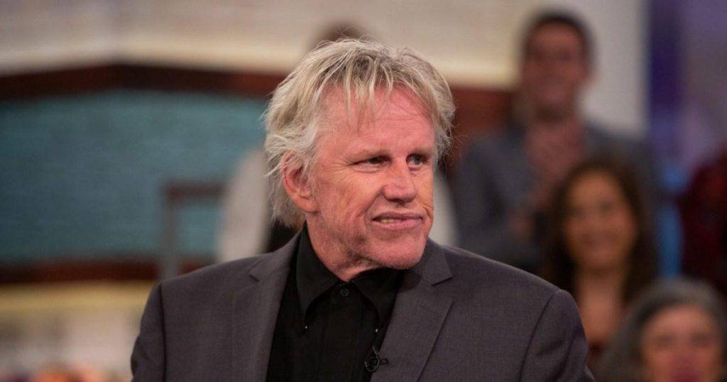 Gary Busey’s sentence revealed after pleading guilty to criminal sexual contact