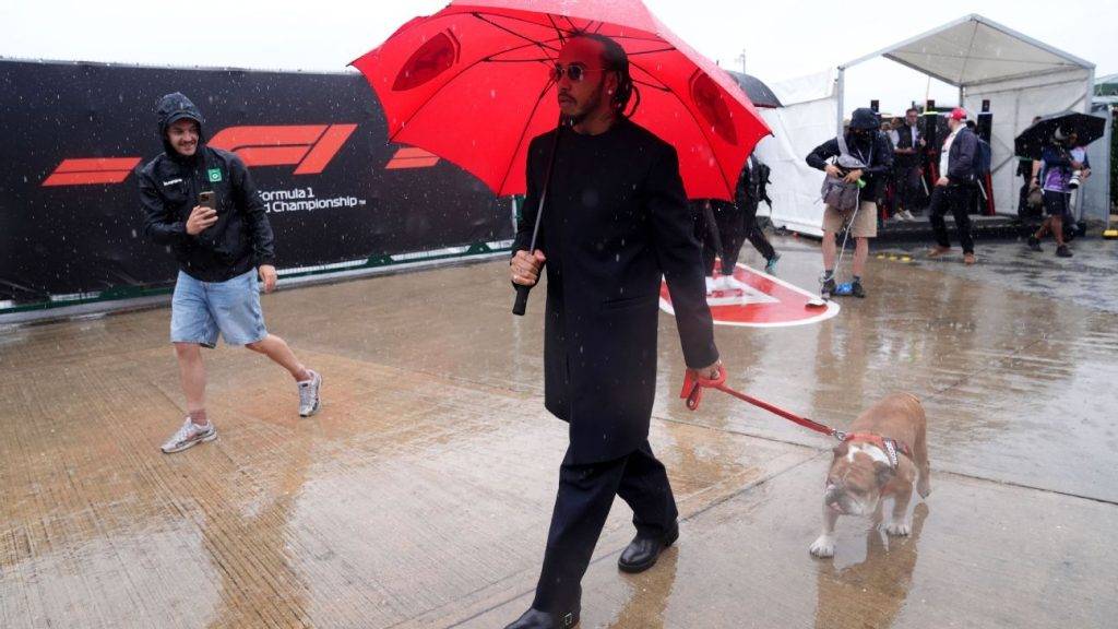 Lewis Hamilton withdraws from Ferrari test after dog enters coma