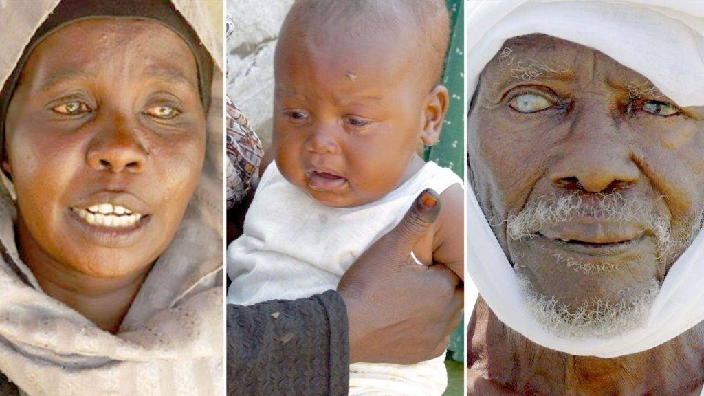 Sudan war: Torture, rape and forced starvation as paramilitaries suffocate besieged city