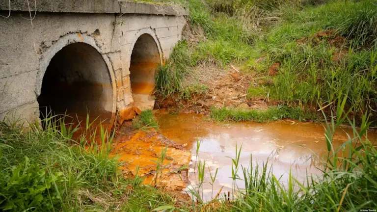 German, Polish eco-activists fight to protect the Oder River