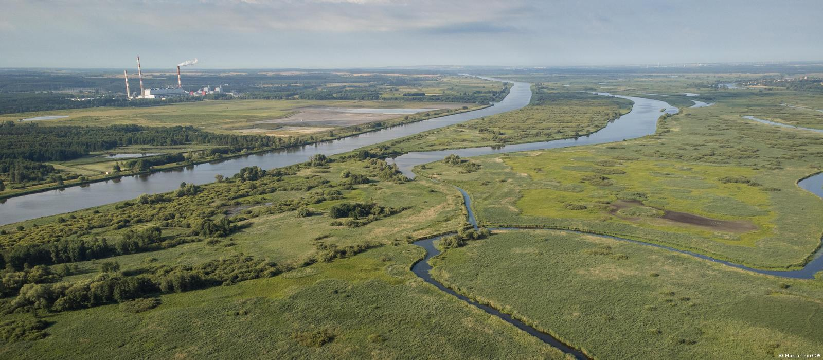 German, Polish eco-activists fight to protect the Oder River