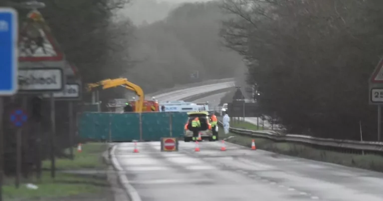 Three killed after BMW swerves off A46 with woman arrested