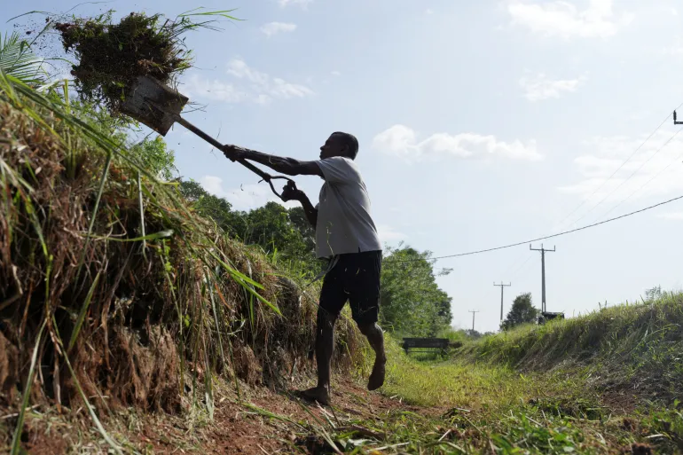 2025 11 18T080746Z 1270675454 RC2QKHANI9XQ RTRMADP 3 SRI LANKA FARMING 1776954079