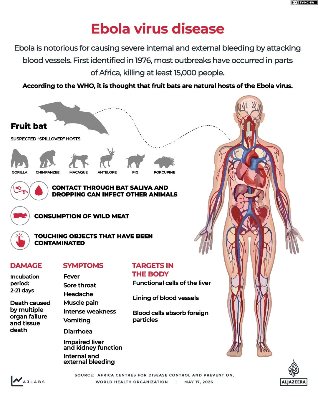 Countries impose travel restrictions in response to Ebola outbreak in DRC and Uganda WTX News Interactive_Ebola_May17_2026-1779019439
