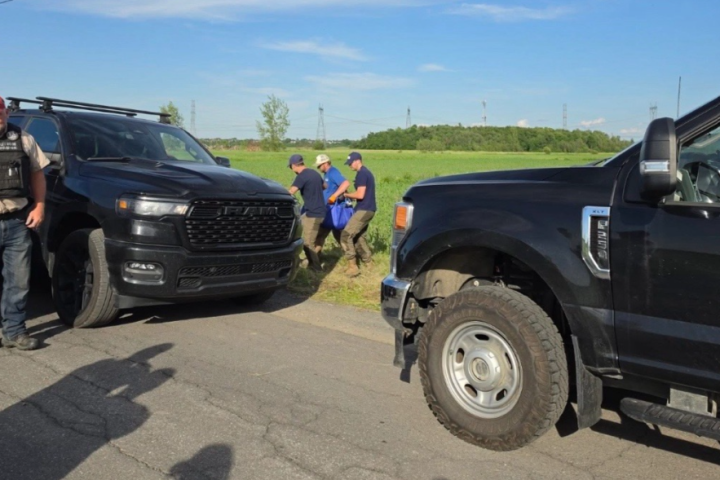 Kangaroo captured following careful operation, Quebec officials confirm