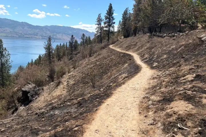 Illegal campfire suspected as cause of Kalamoir Park wildfire; park remains closed WTX News kalamoir fire damage