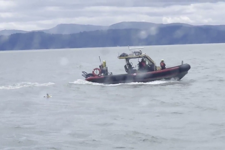 marine rescue
