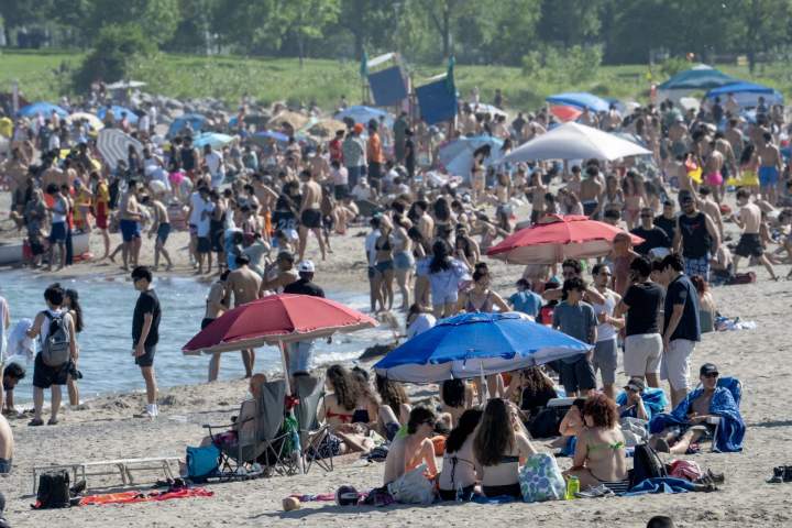 people at beach e1782752525328