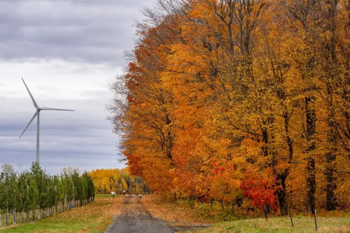 Nova Scotia government approves plans for largest onshore wind farm WTX News 15e4bbe5ab6c57111a48b273dde927147bc7f0775c39a98d207eb3d5eb4984e9