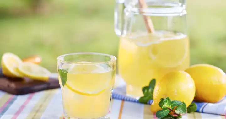 1787248821 Lemonade stand