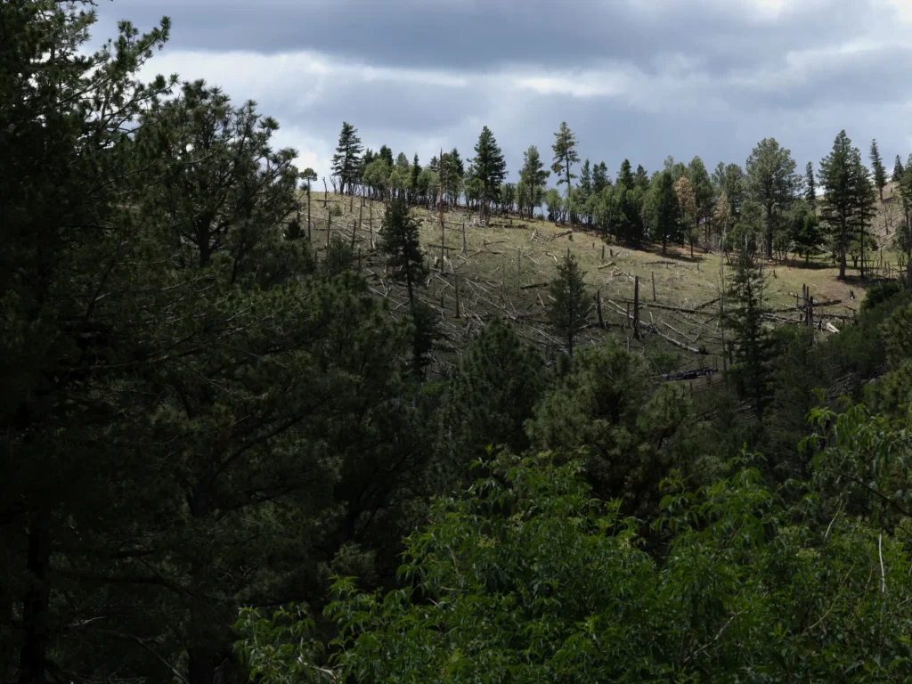Trump administration proposes repeal of rule protecting national forest areas Trump administration proposes repeal of rule protecting national forest areas