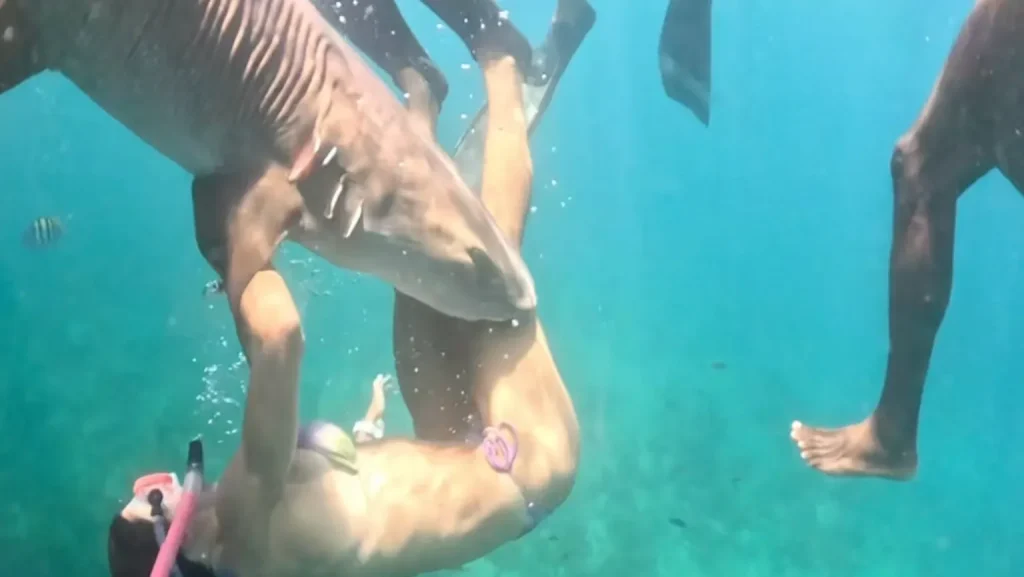 Influencers risk lives for shark photos amid warnings from scientists