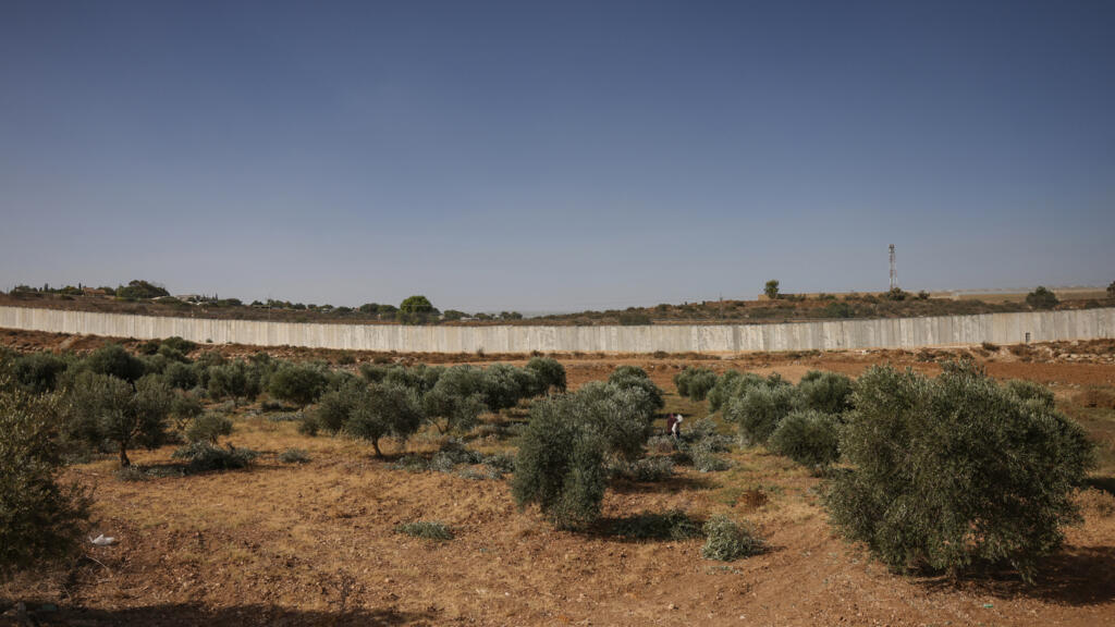 Israeli settlers attack European diplomats during Palestinian olive harvest WTX News Israeli settlers attack European diplomats during Palestinian olive harvest