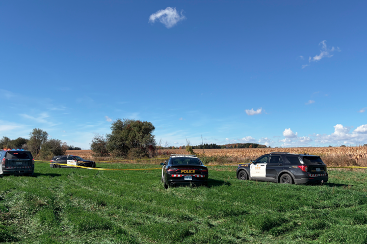 Two fatalities reported in plane crash and fire near Fergus, Ontario WTX News plane crash