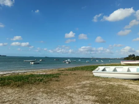 LIVE German 2025 Election WTX News pointe aux sables 1790861984